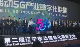 鞍山新闻爆料,最新爆料揭示城市动态与民生焦点